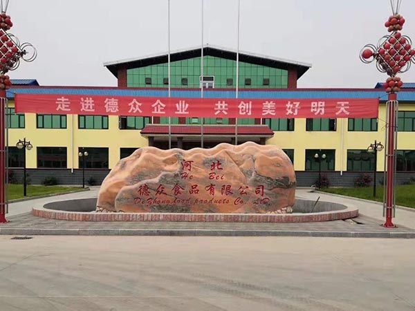 河北德眾食品有限公司4T蒸汽鍋爐